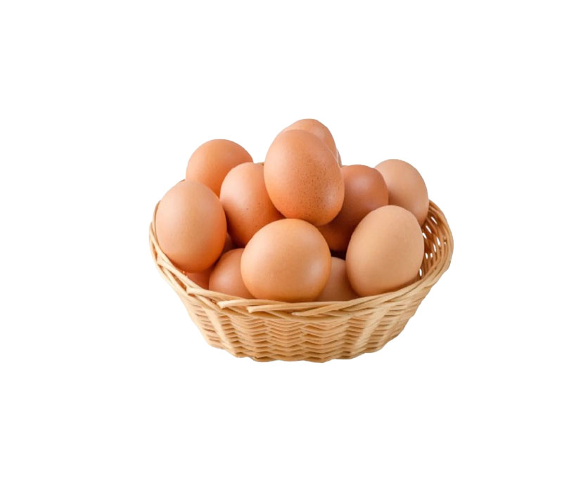 12Pcs  Chicken Eggs Brawn 