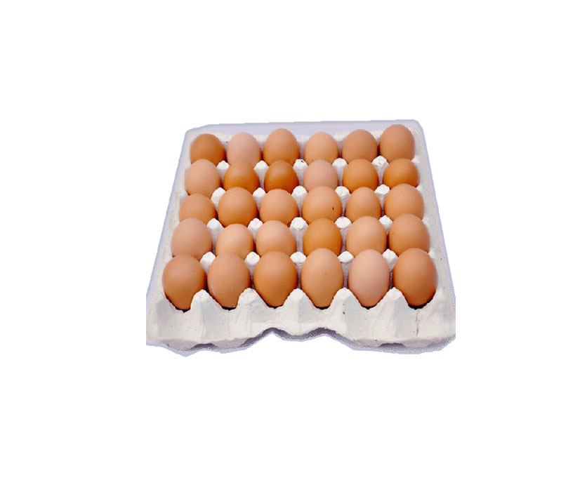 30Pcs Brawn Eggs (chicken) 